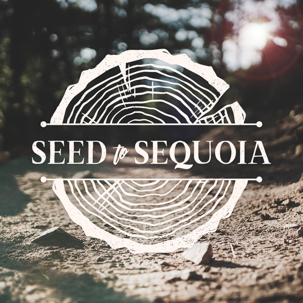 Seed to Sequoia